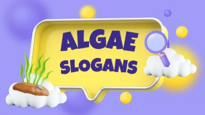 Algae Slogan